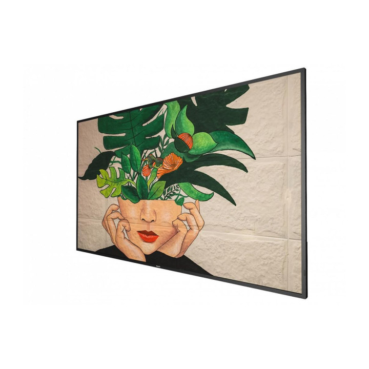 PHILIPS 55  D-LINE  UHD  247